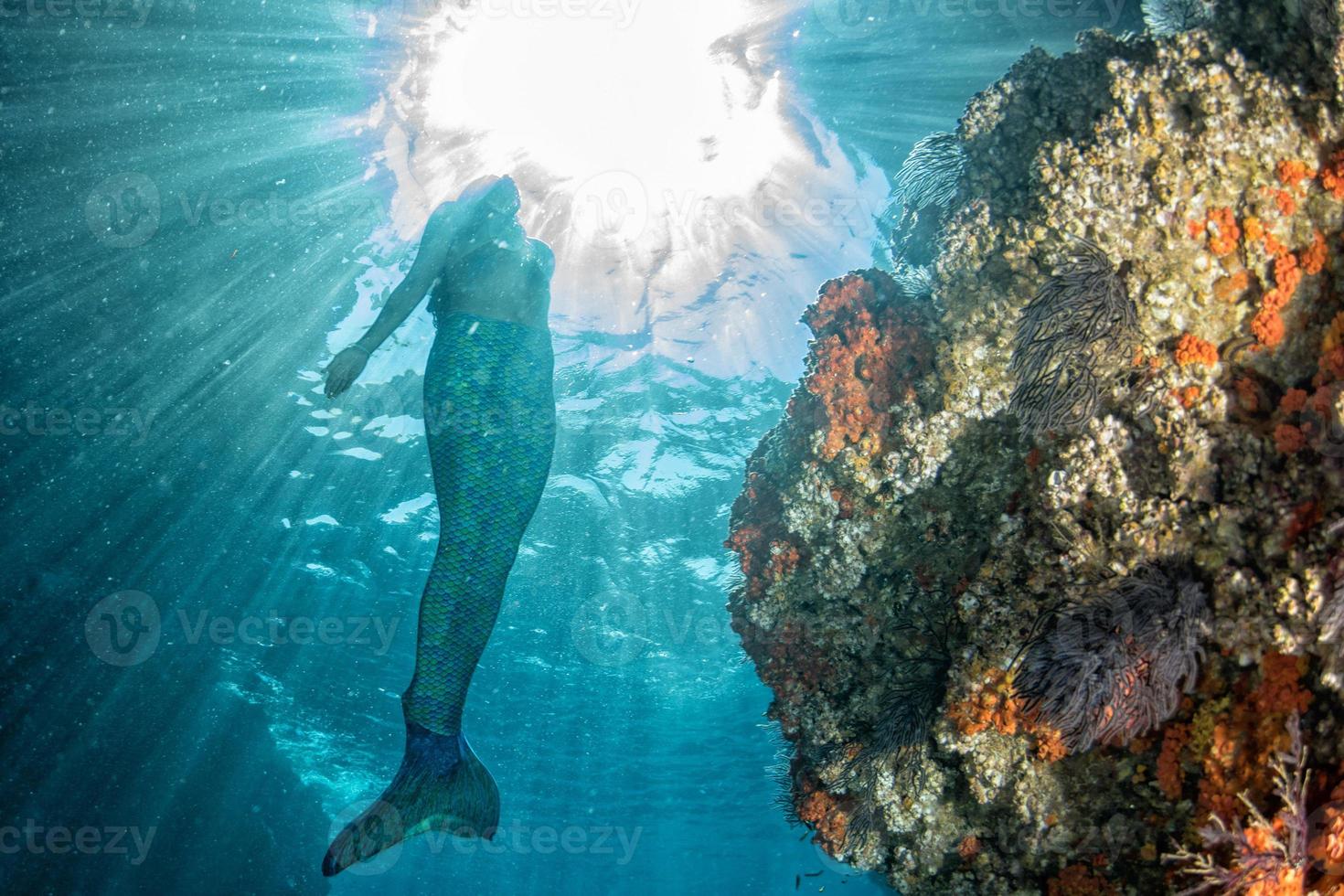 Mermaid swimming underwater in the deep blue sea photo