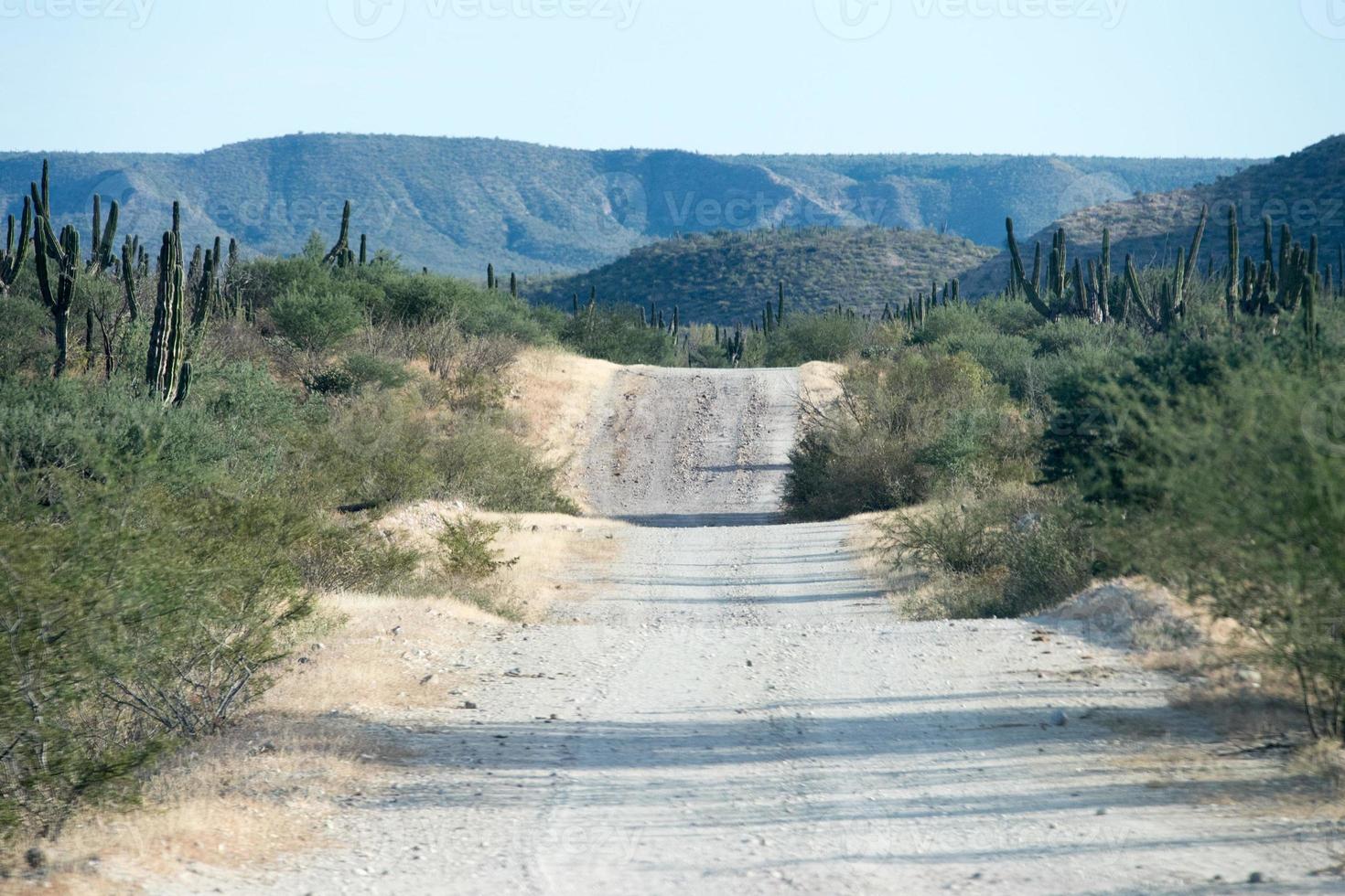 Baja California desert endless road landscape view photo