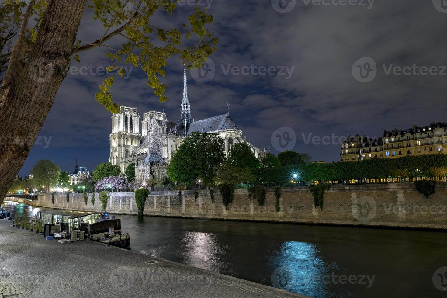 notre dame paris night view photo