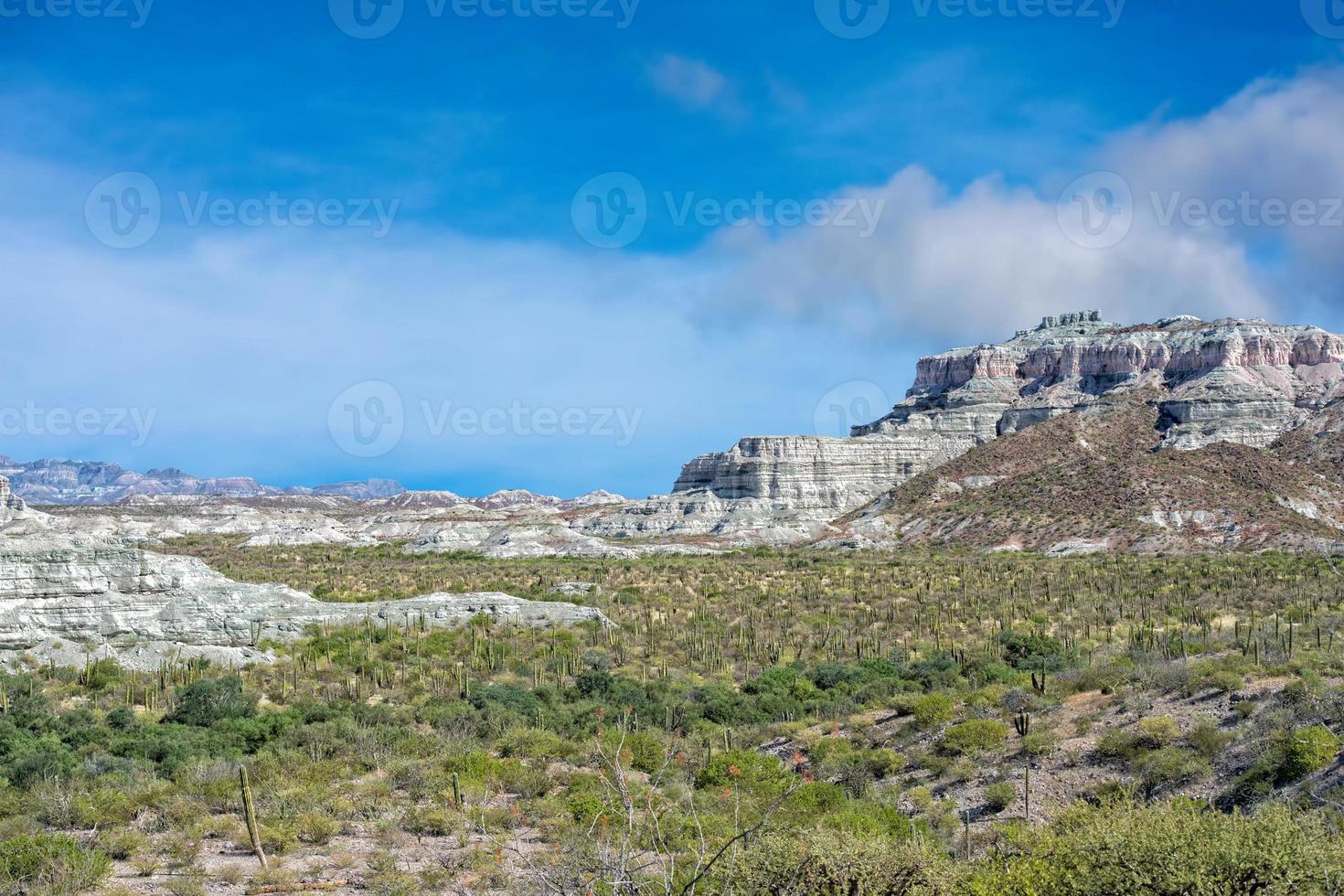 offroad in baja california landscape panorama photo