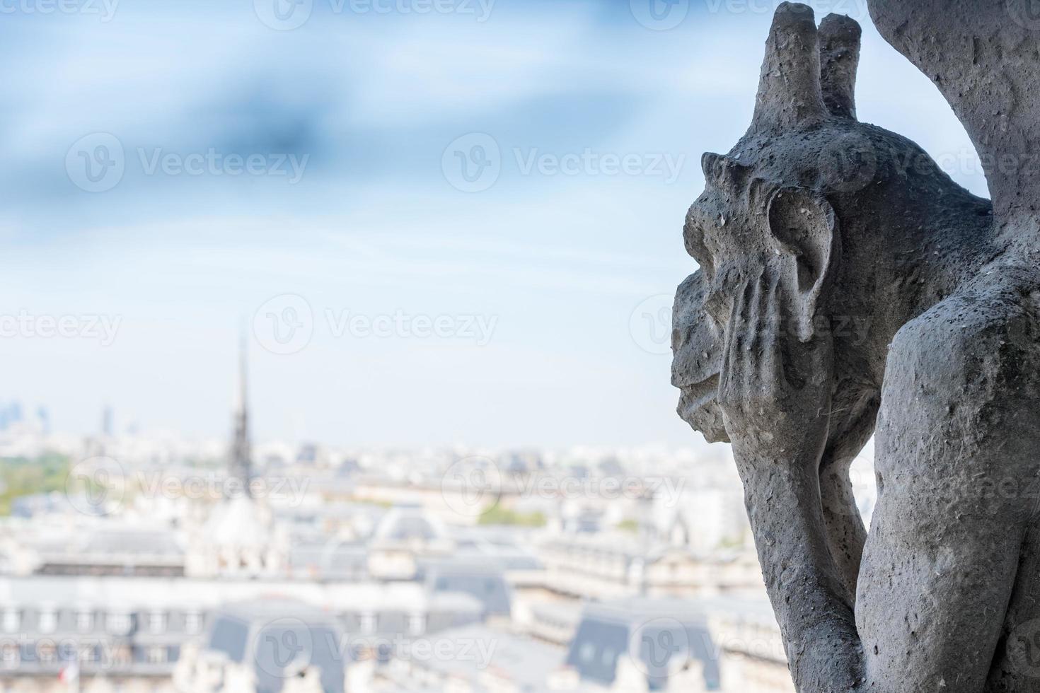 notre dame gorgoyle parís vista foto