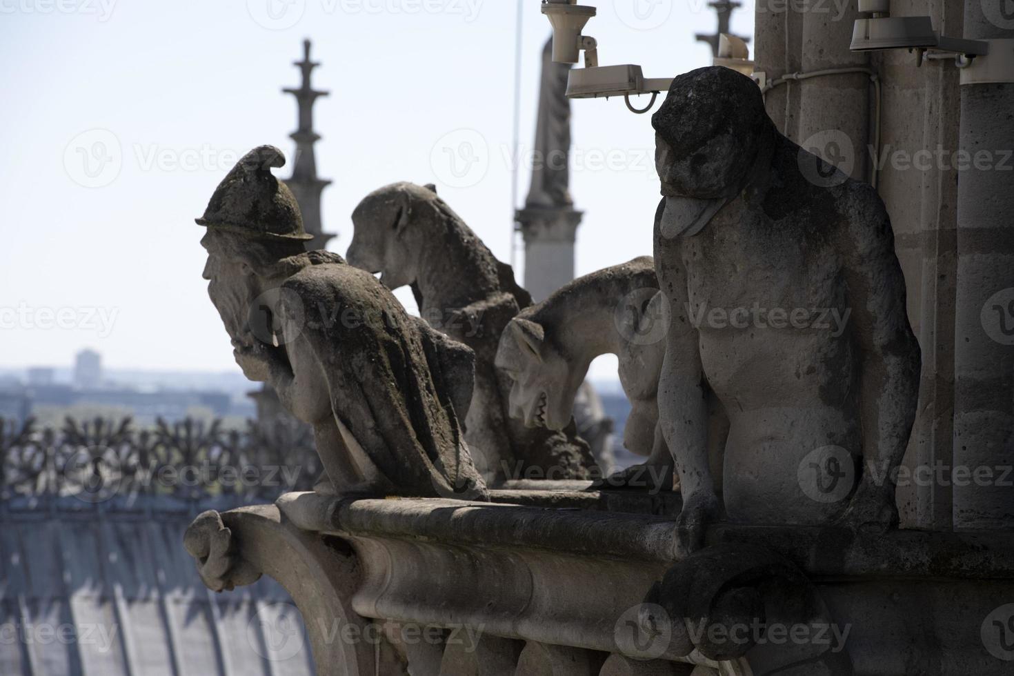 Notre dame paris cathedral statue sculpture and roof before fire photo