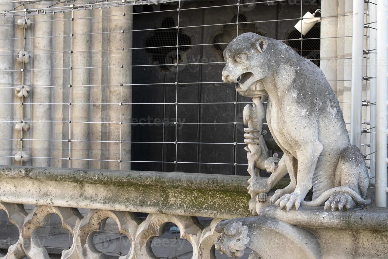 Notre dame paris cathedral statue sculpture and roof before fire photo