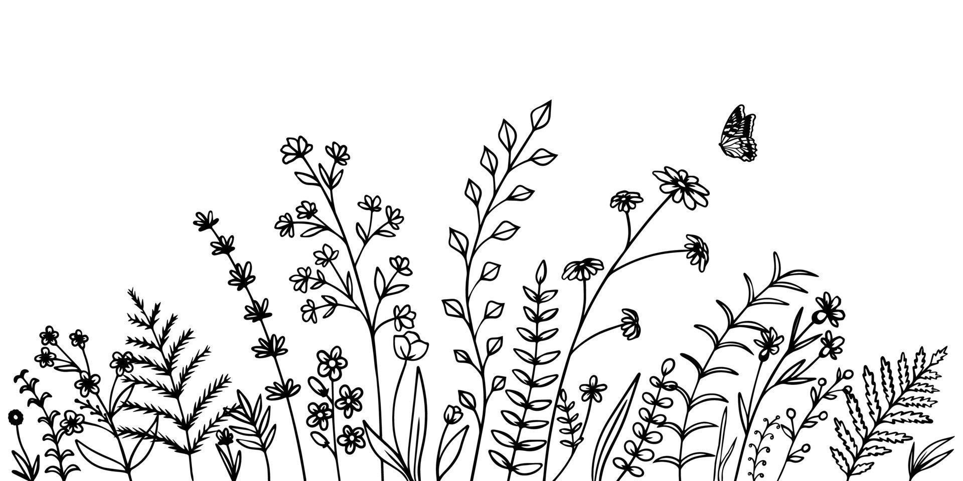flores de campo silvestre. dibujado a mano doodle boceto estilo elemento floral salvaje para la naturaleza primavera fondo con mariposa vector