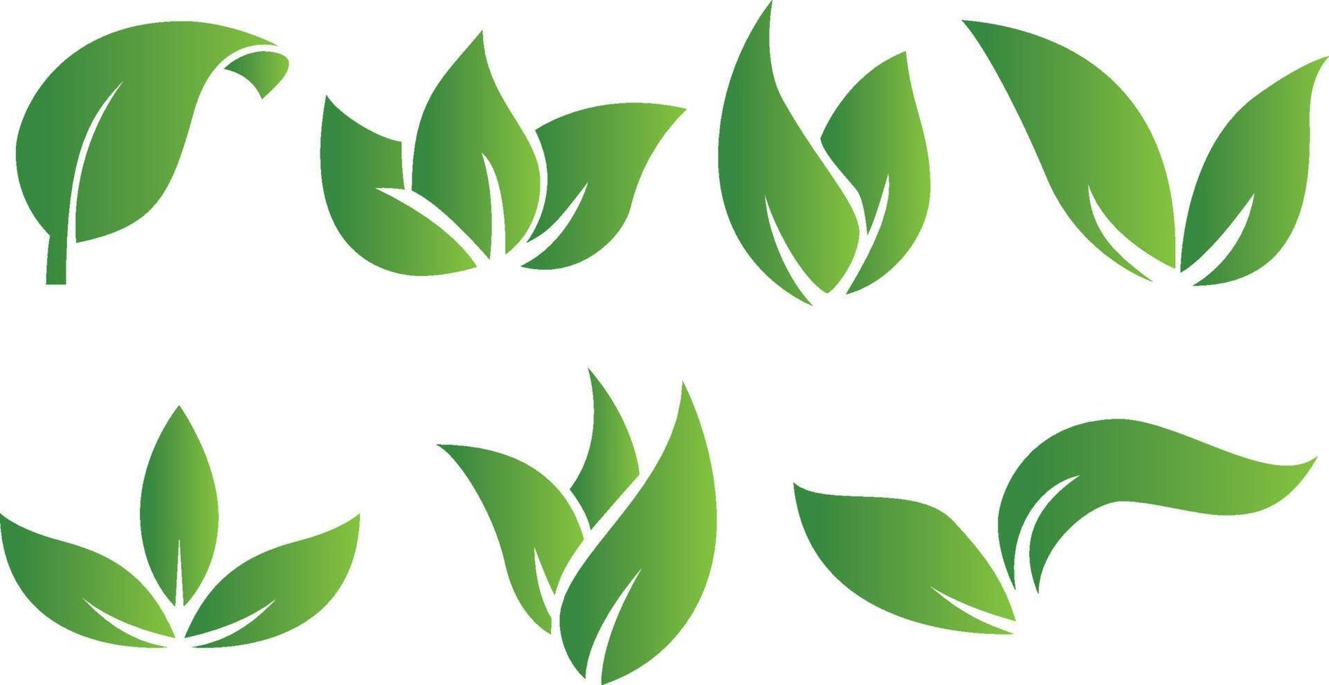 conjunto de iconos abstractos de hojas verdes aisladas sobre fondo blanco vector