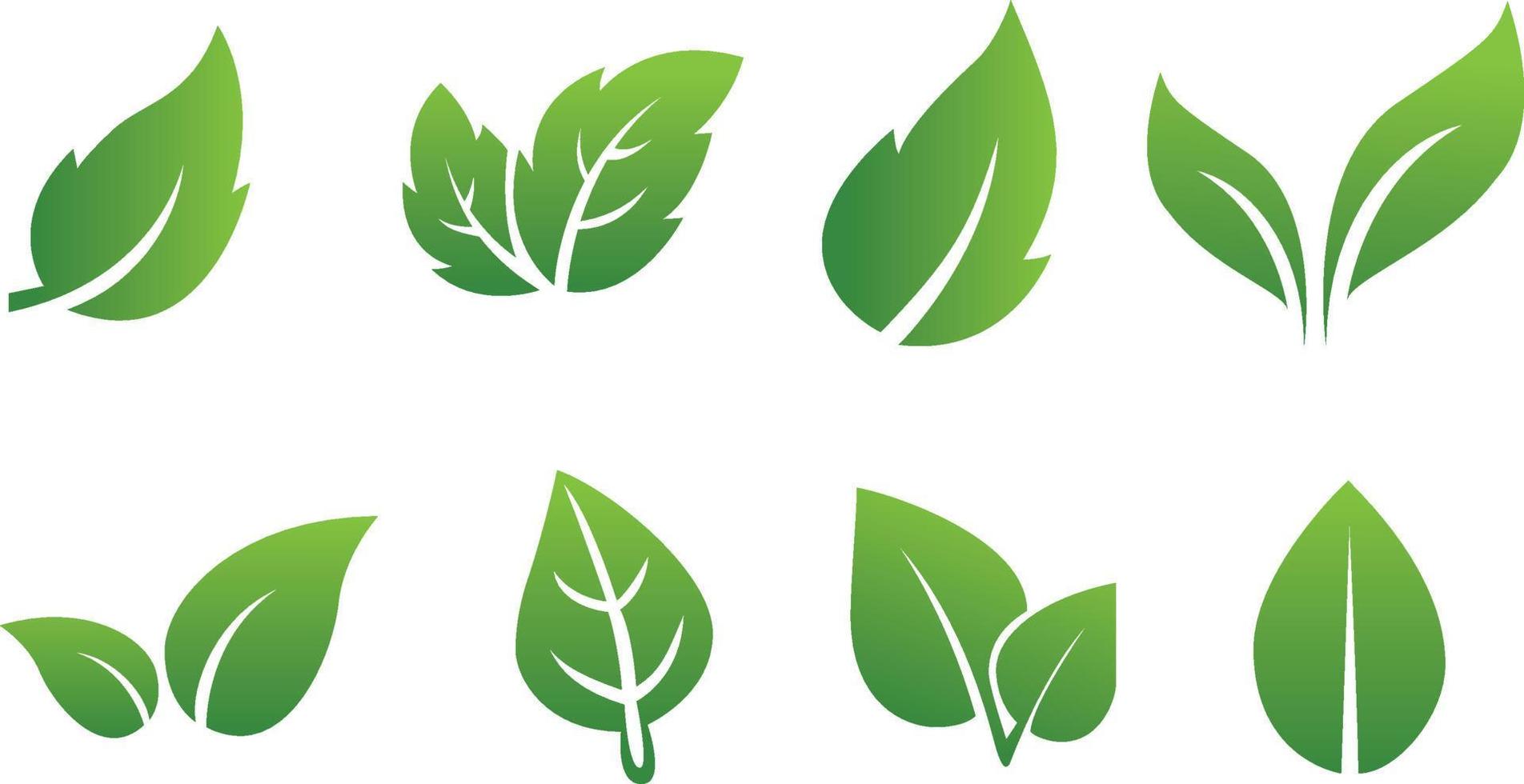 Set of abstract isolated green leaves icons on white background vector