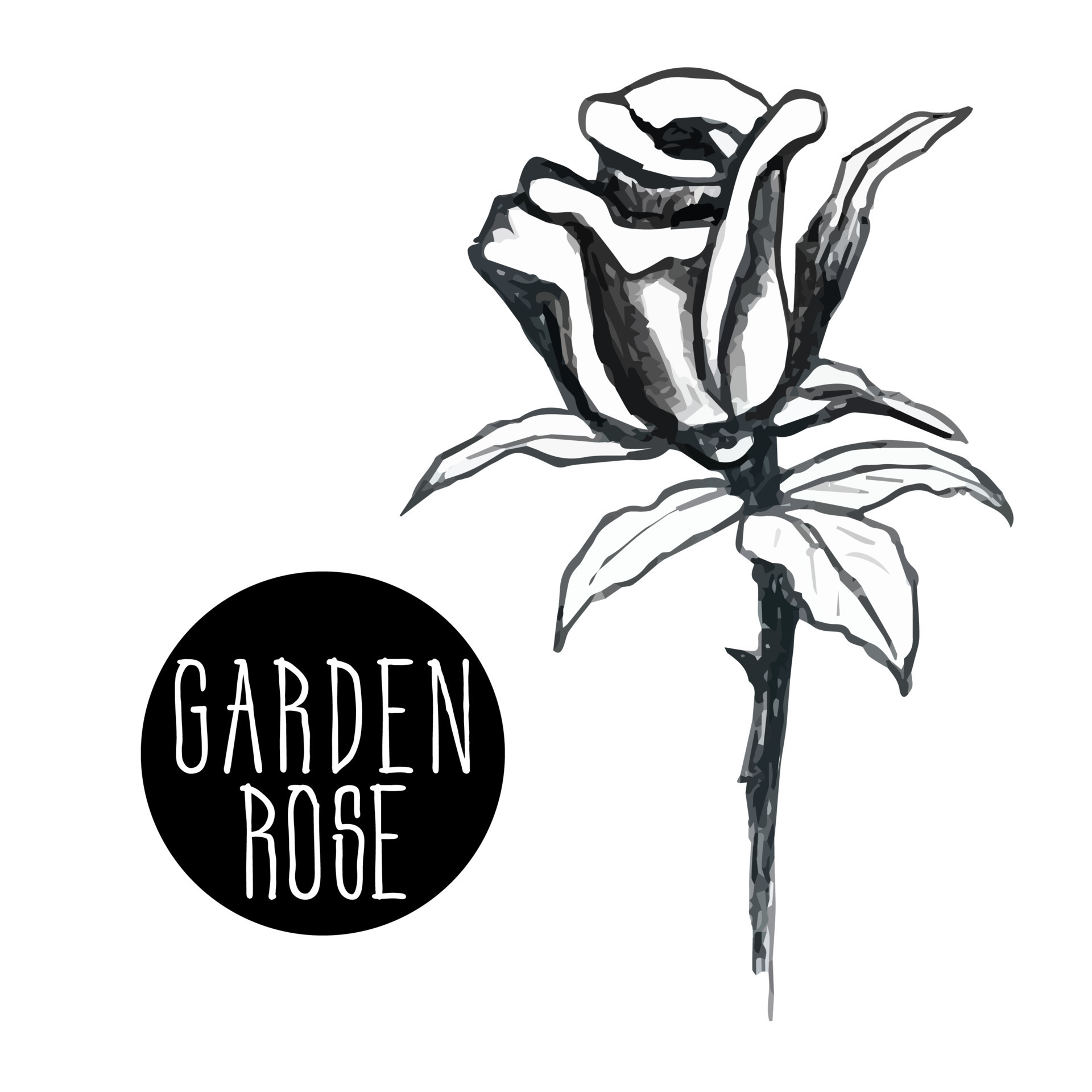 open-rose-line-drawing
