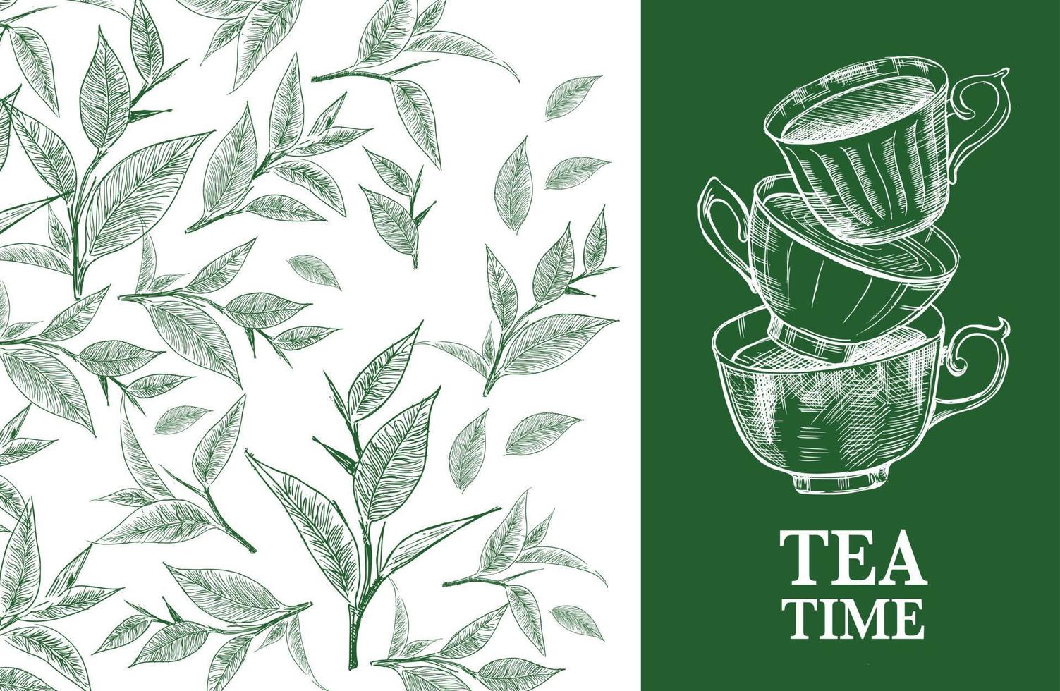 Green tea leaves. Hand drawn, vector. vector