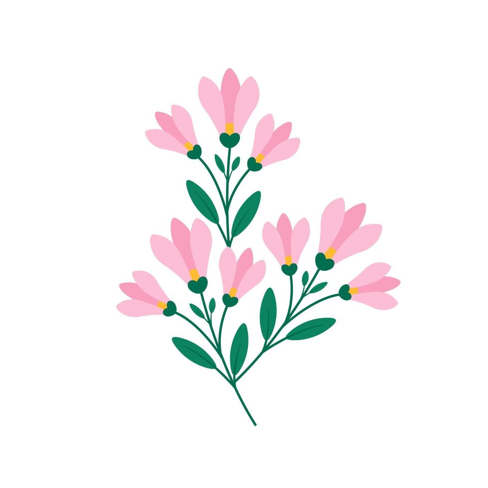 Twig with magnolia blossom on white background, vector illustration of spring flowers isolate