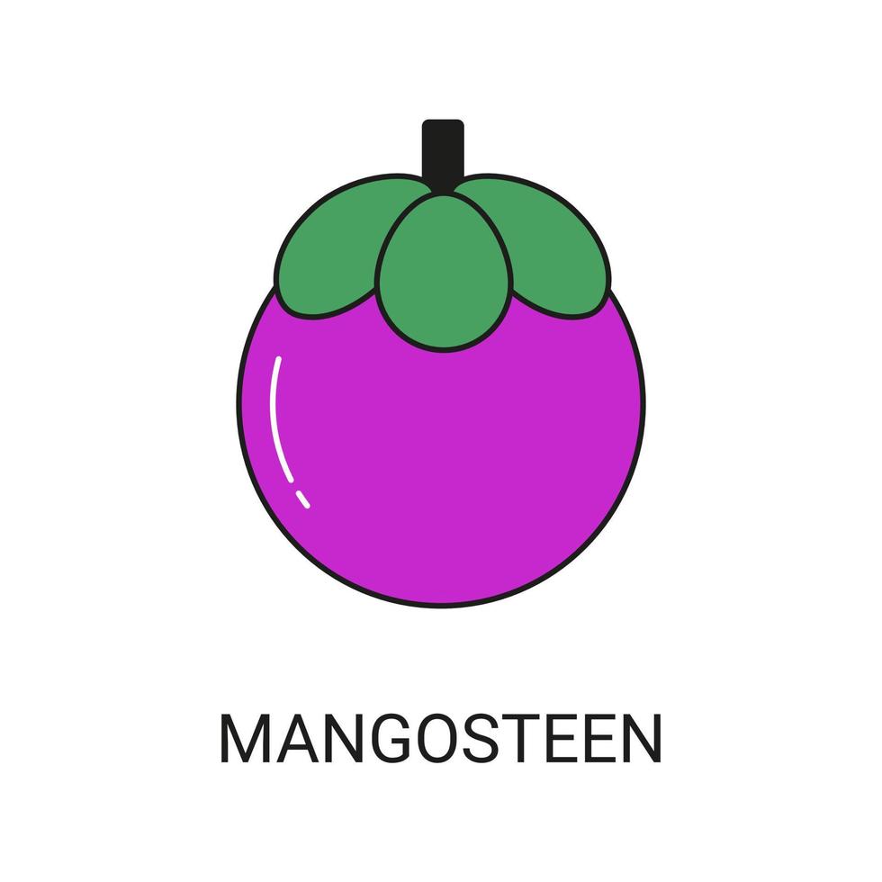 Mangosteen Exotic Fruit Icon Element for Web vector
