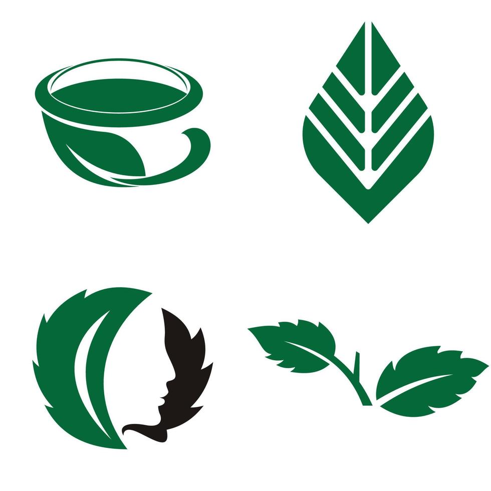 logotipo de icono de diseño de ilustración de vector de hoja