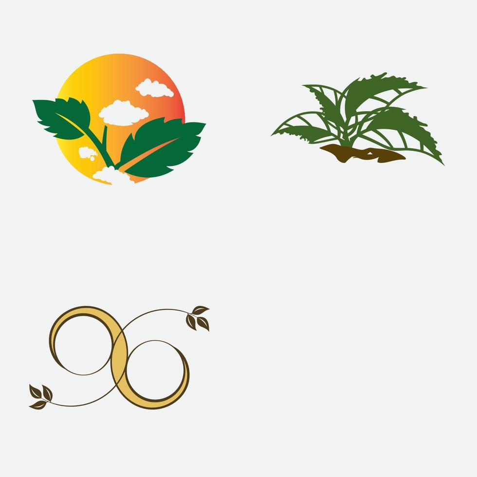 leaf vector illustration design icon logo