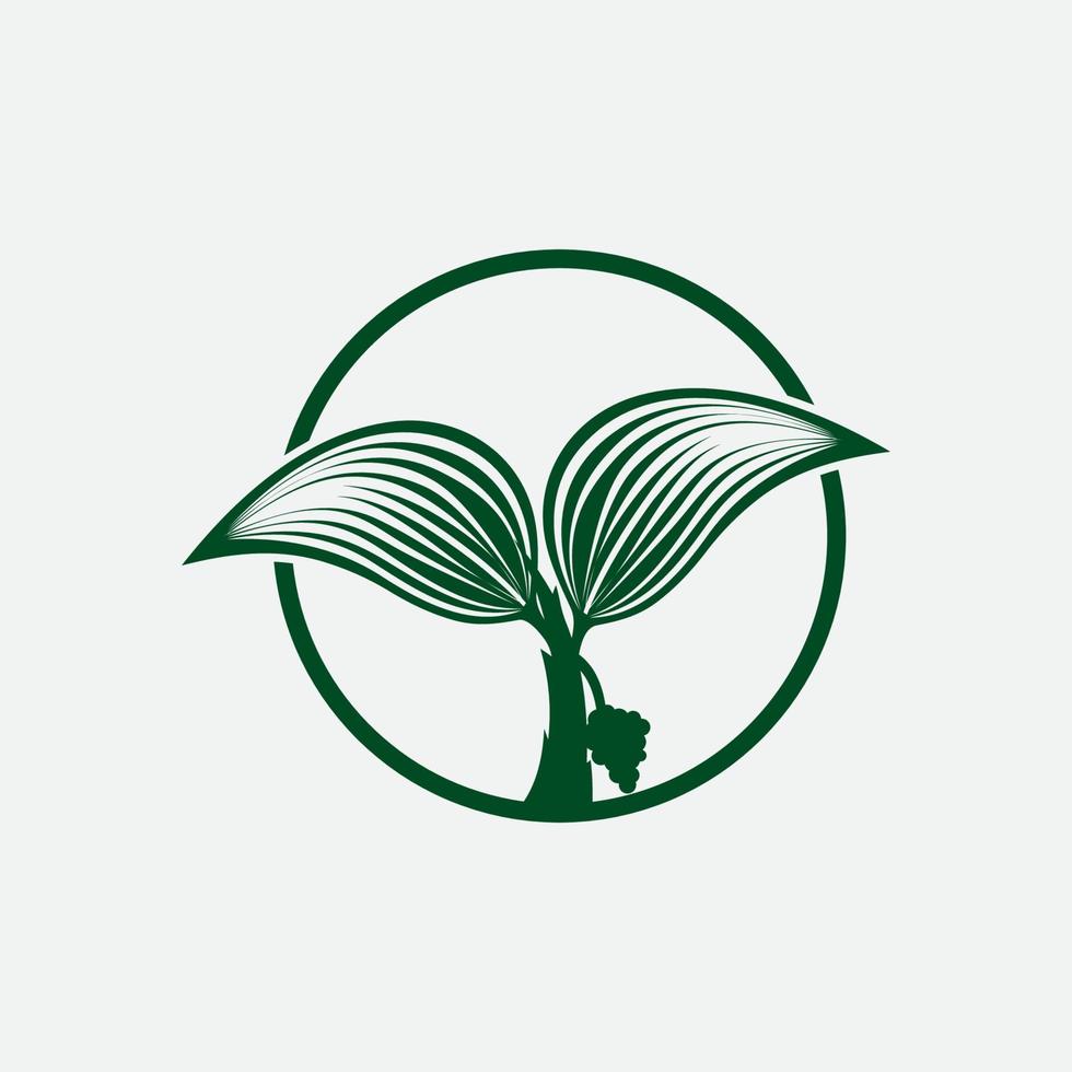 logotipo de icono de diseño de ilustración de vector de hoja