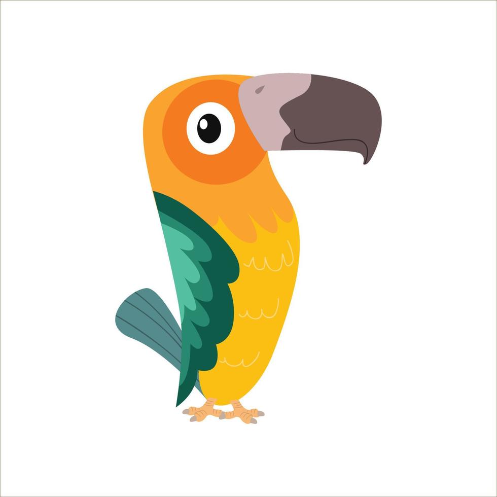 cute beautiful macaw vector