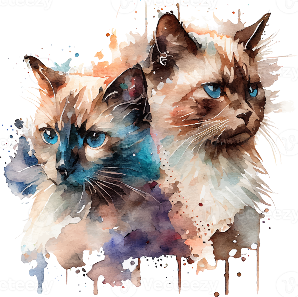 dois gatos adoráveis fofos em aquarela png