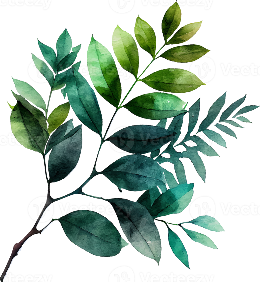 groen waterverf schilderij natuurlijk bladeren Afdeling png