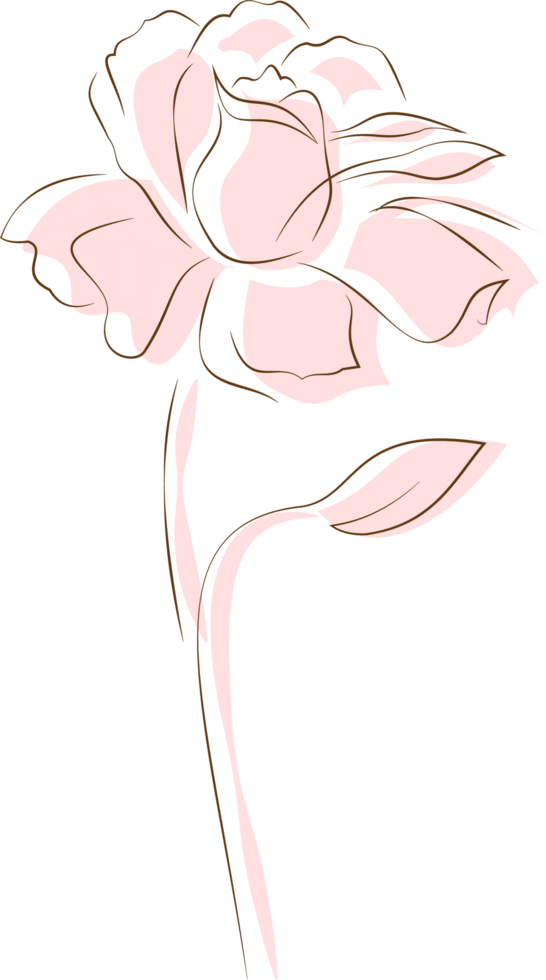 una flor con hojas abiertas de color rosa claro png