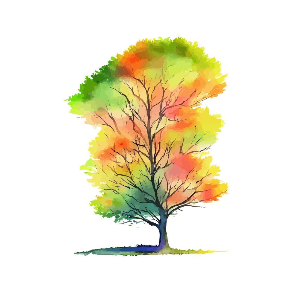 Bushy Watercolor Autumn Woodland Tree vector