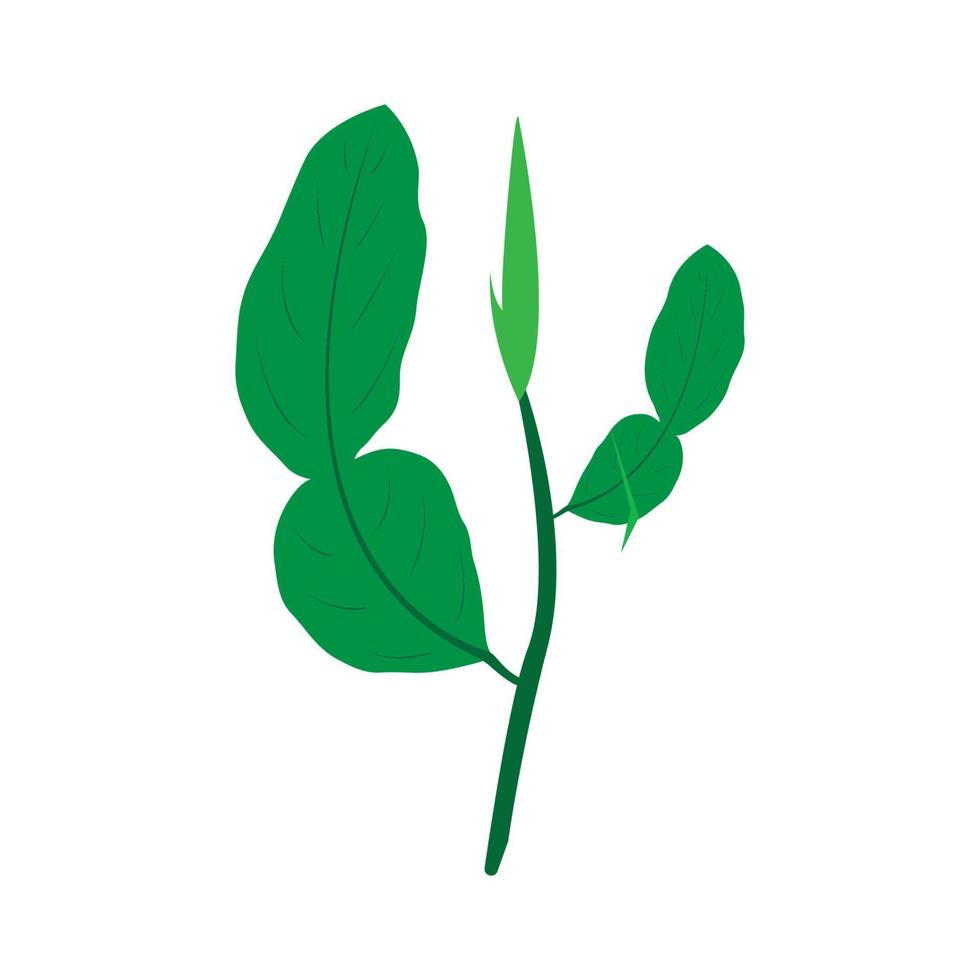 logotipo de hojas de lima vector