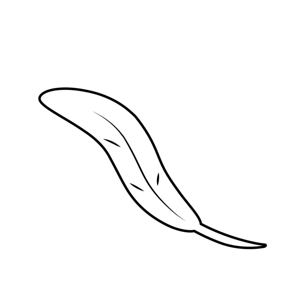 vector de icono de pluma