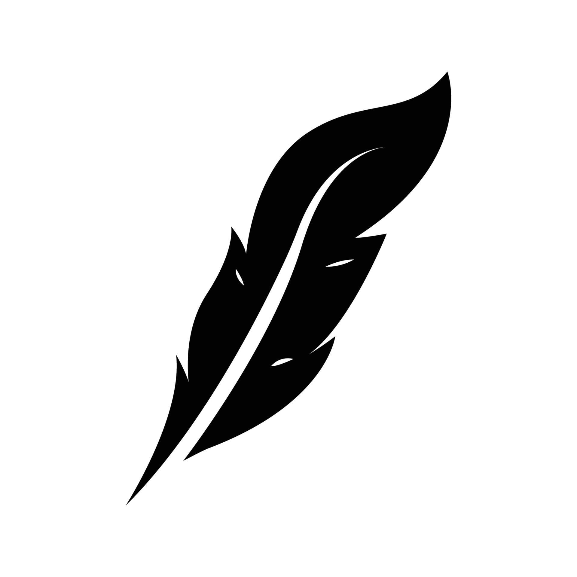 feather icon vektor 17260071 Vector Art at Vecteezy