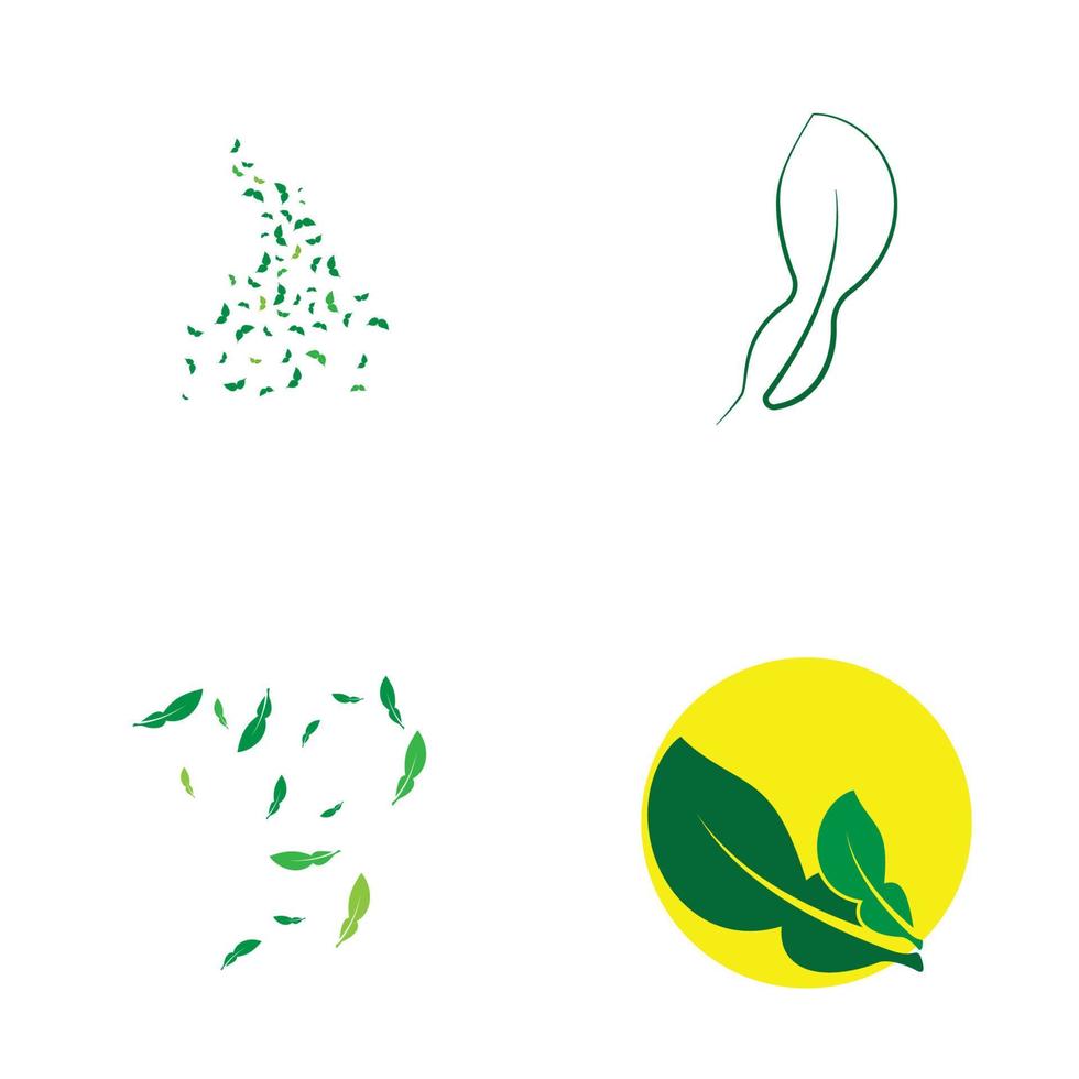 lime leaves logo vector