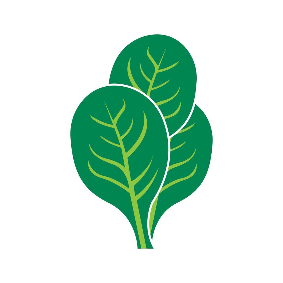Fresh spinach vegetable logo,icon vector illustration design