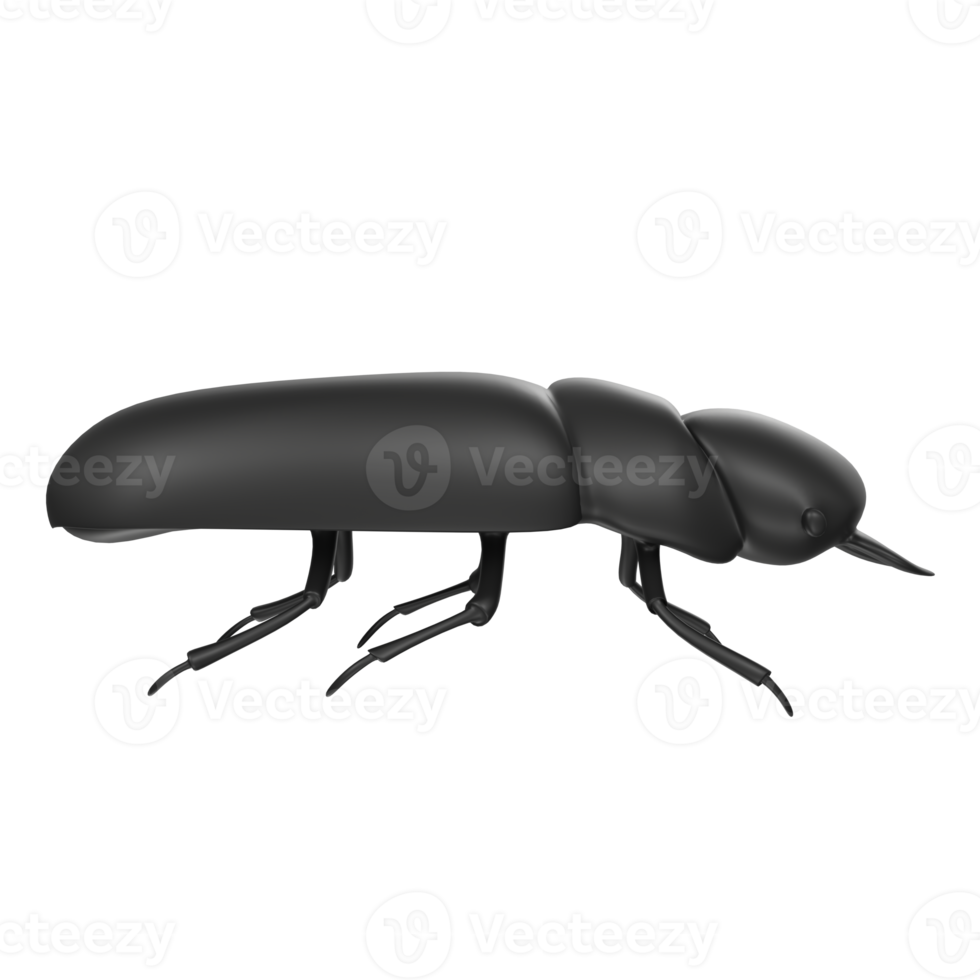 beetle bug isolated on background png