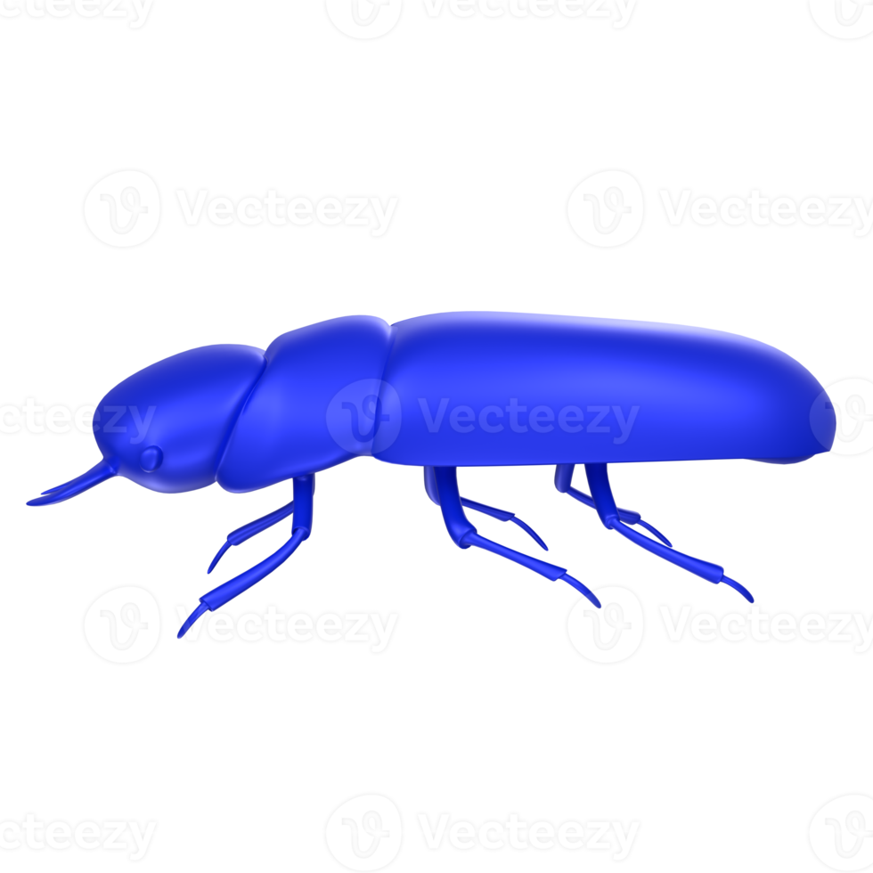 beetle bug isolated on background png