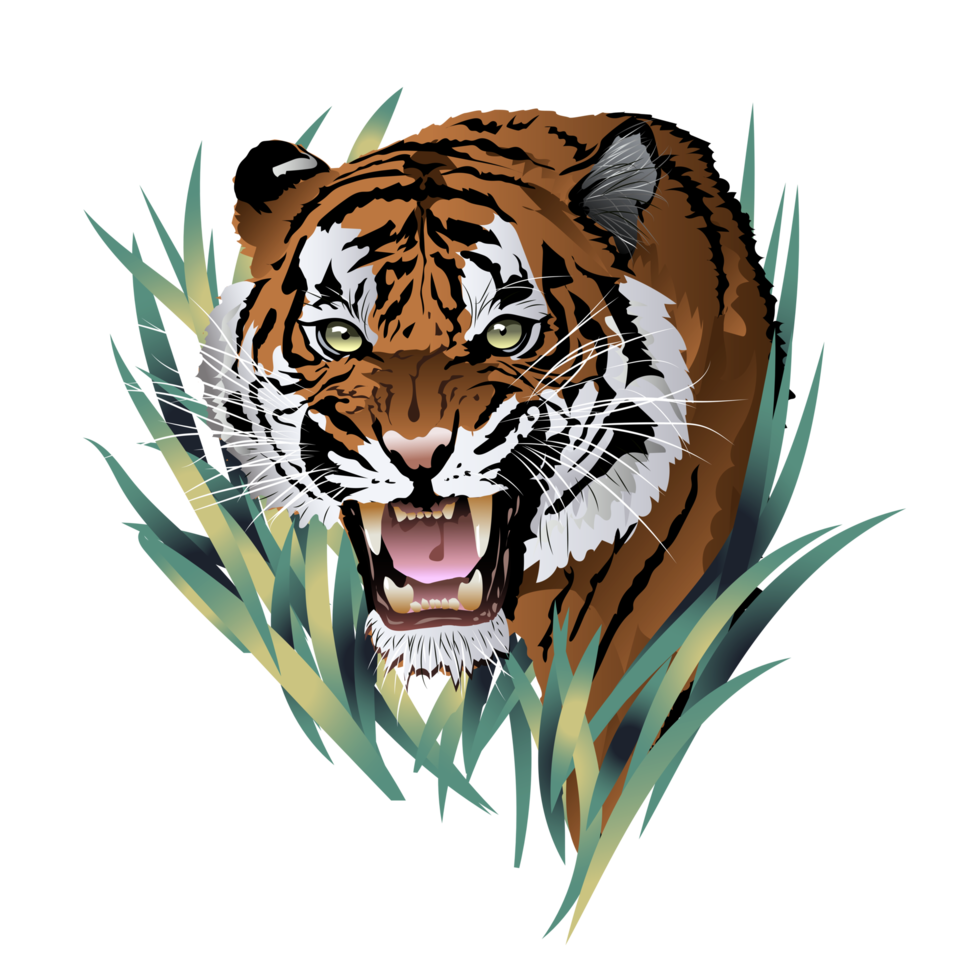 cabeza de tigre cara de tigre enojado. la sonrisa de un tigre. dibujo detallado de un tigre. el símbolo del nuevo 2022. ilustración aislada. png