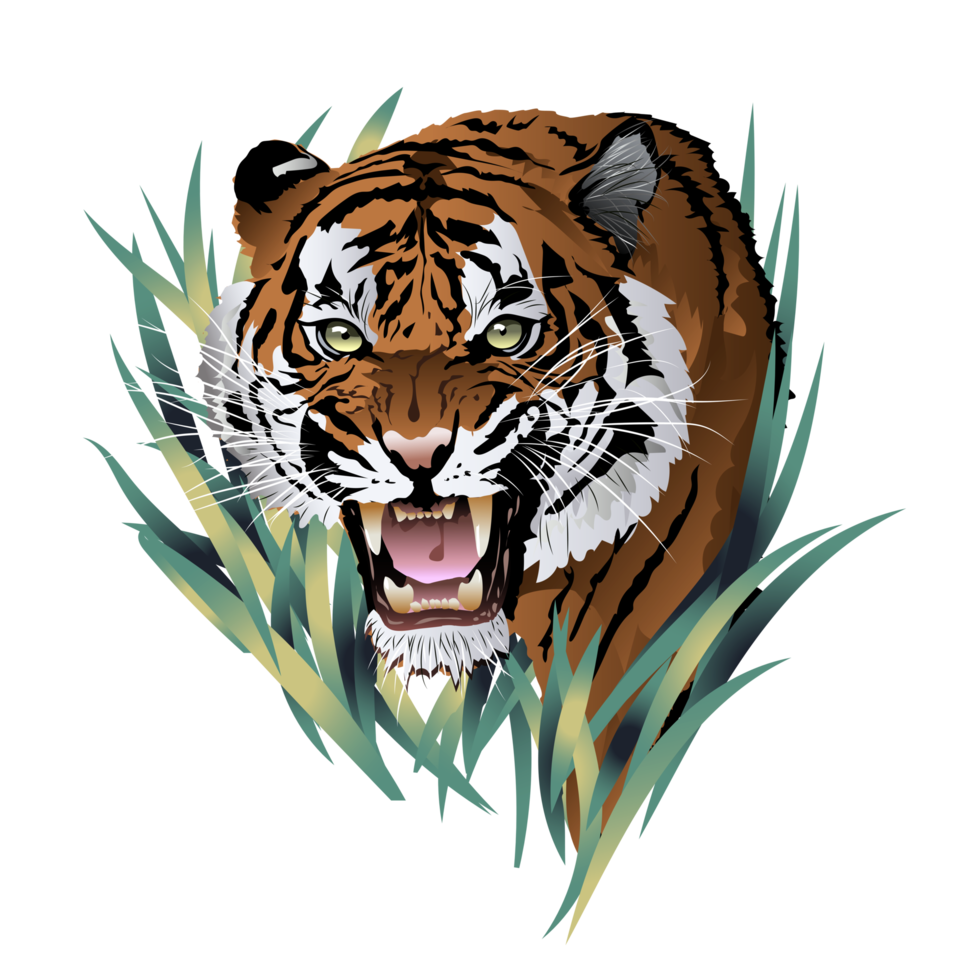 cabeza de tigre cara de tigre enojado. la sonrisa de un tigre. dibujo detallado de un tigre. el símbolo del nuevo 2022. ilustración aislada. png