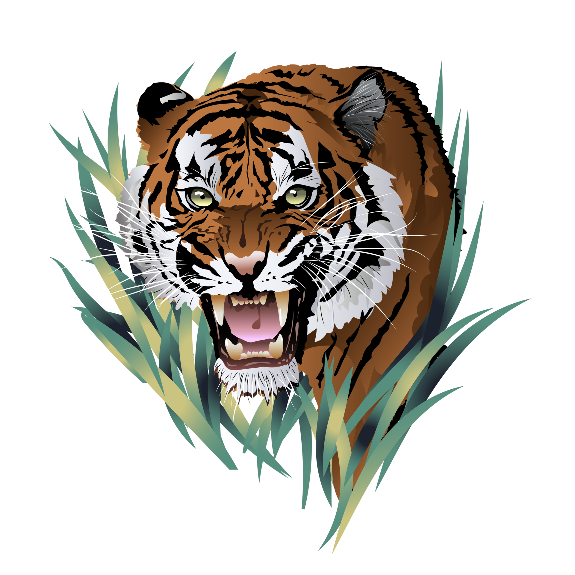 Angry Tiger Face Images