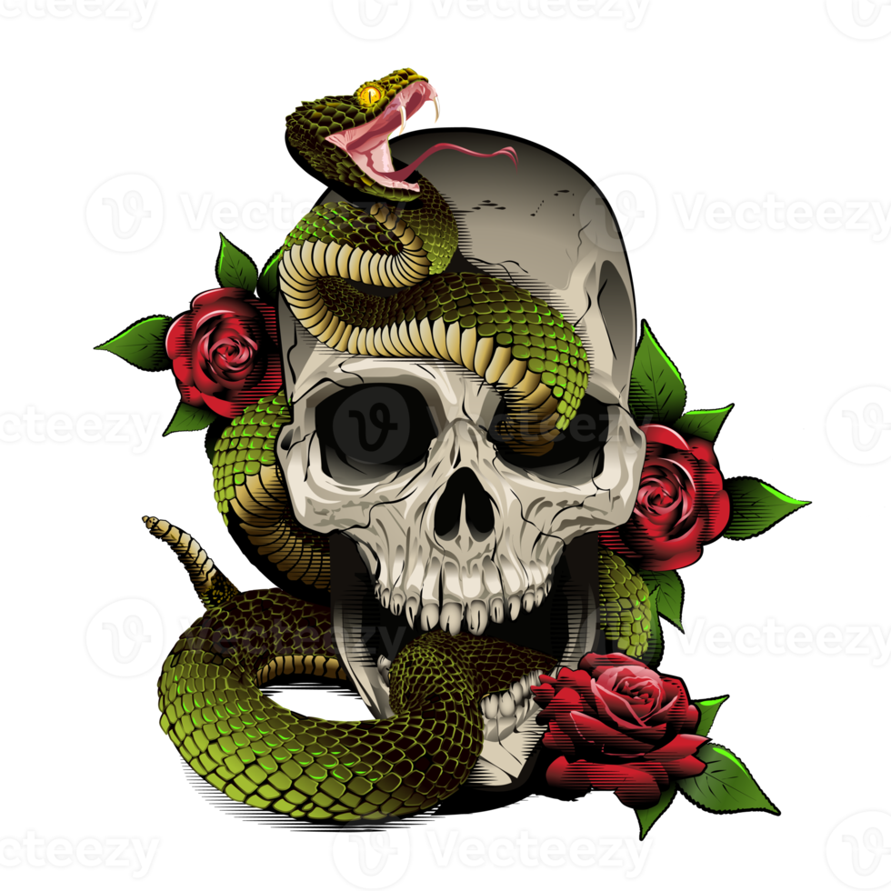 skull snake and roses. illustration. engraving style png