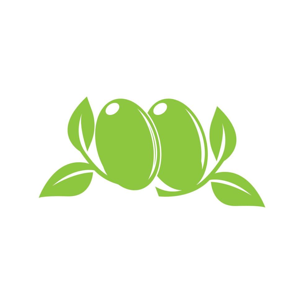 set of Olive logo vector illustration design