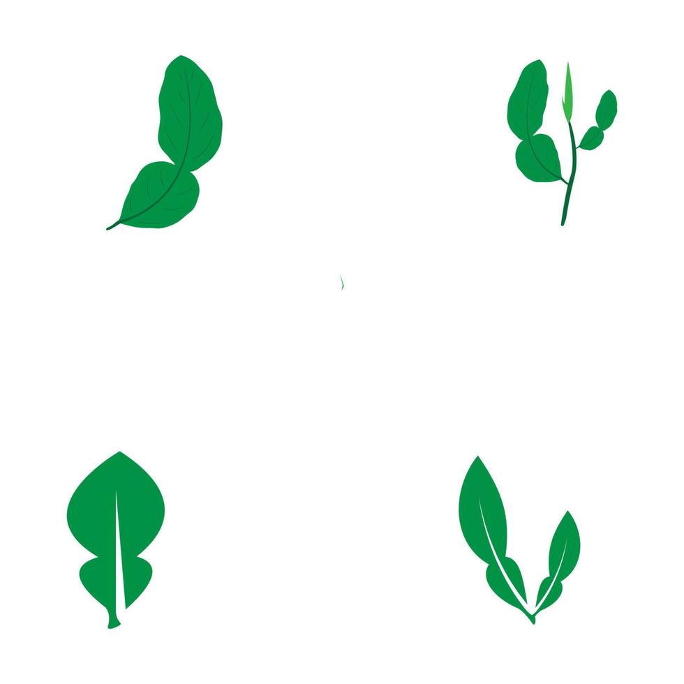 lime leaves logo vector