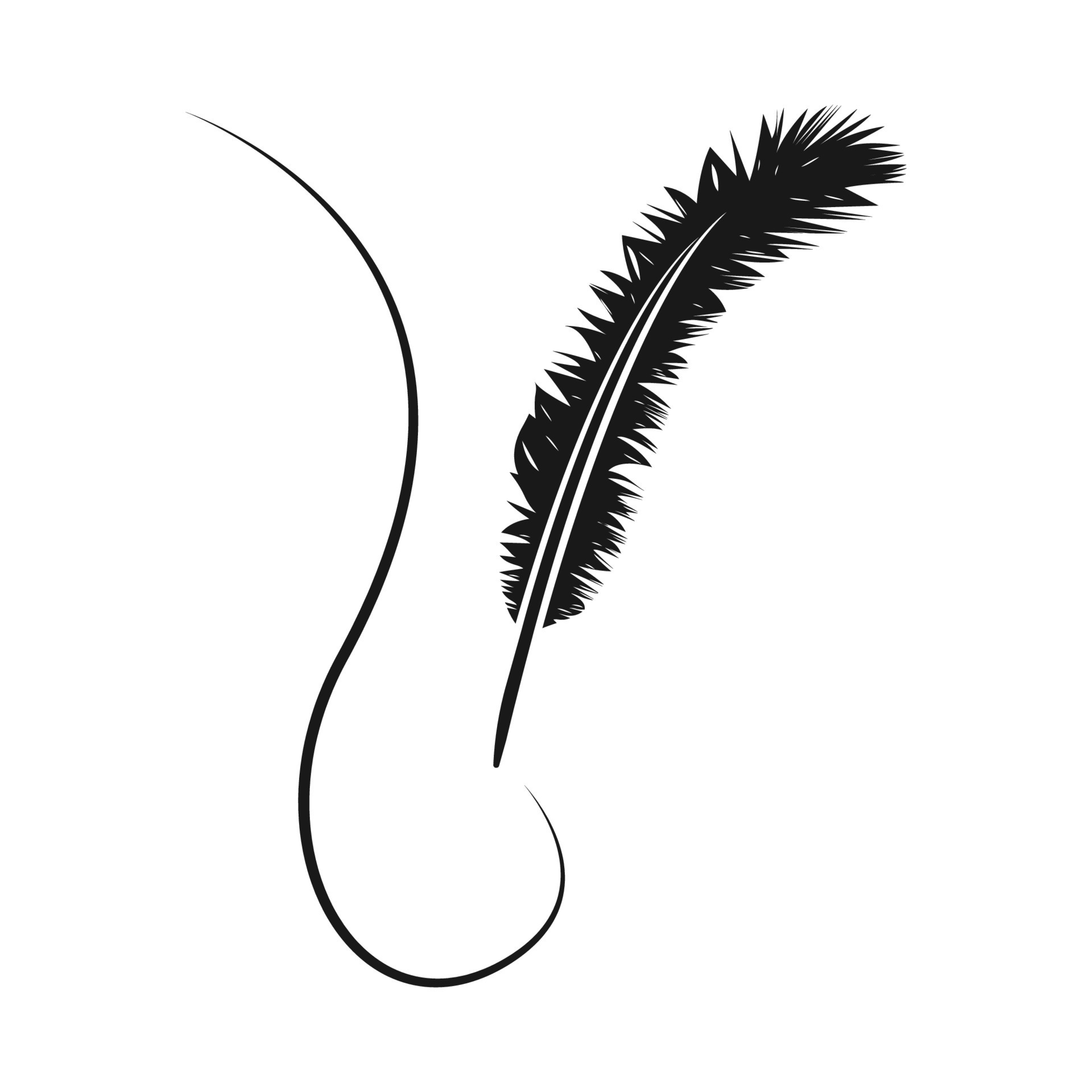 feather pen vektor 17263957 Vector Art at Vecteezy