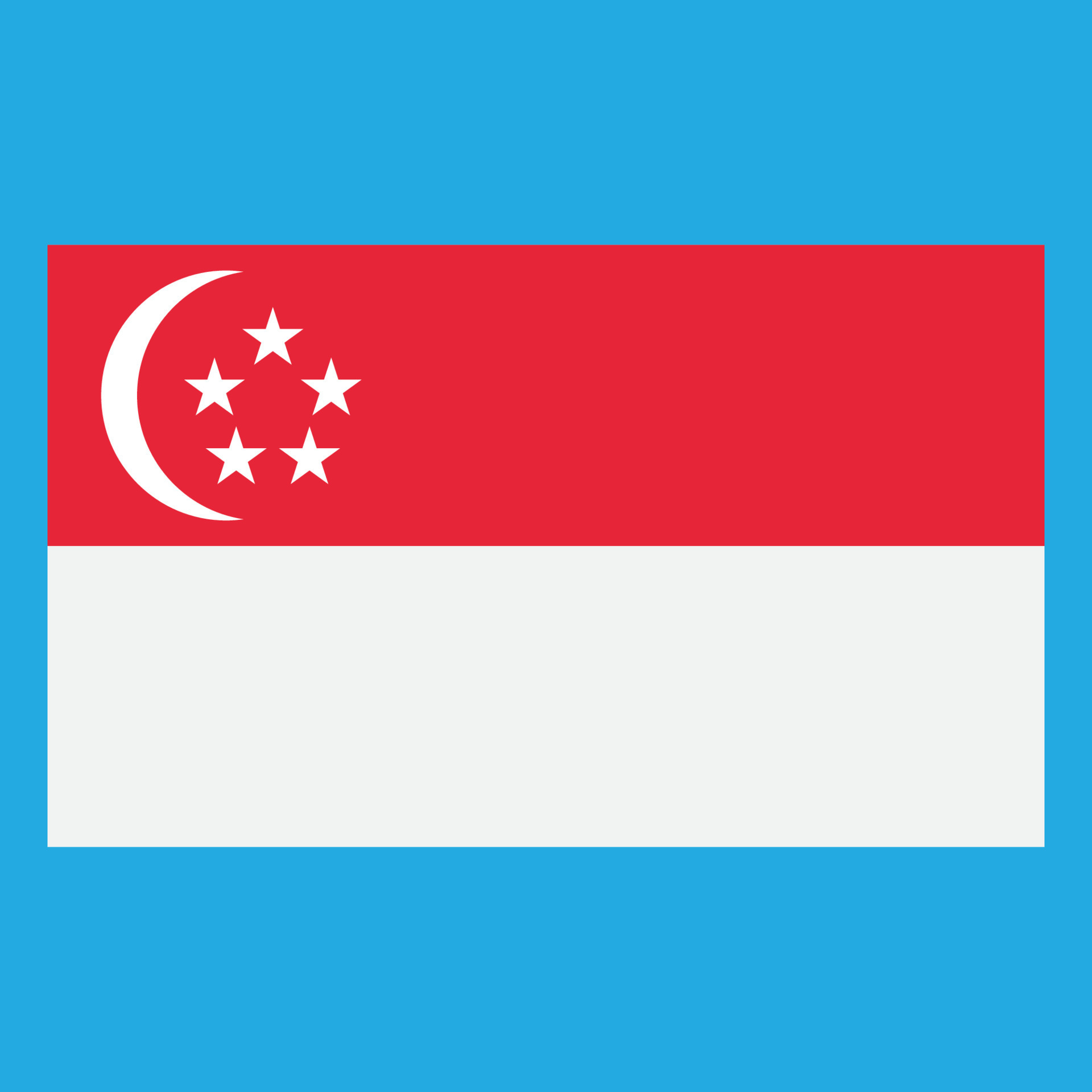 Republic of singapore flag icon, vector illustration logo design