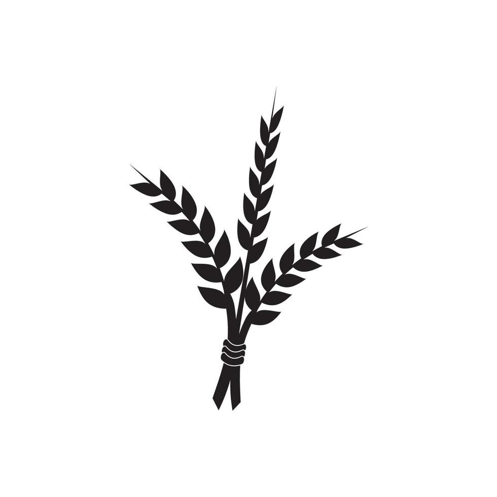 Agriculture wheat Logo Template vector icon design
