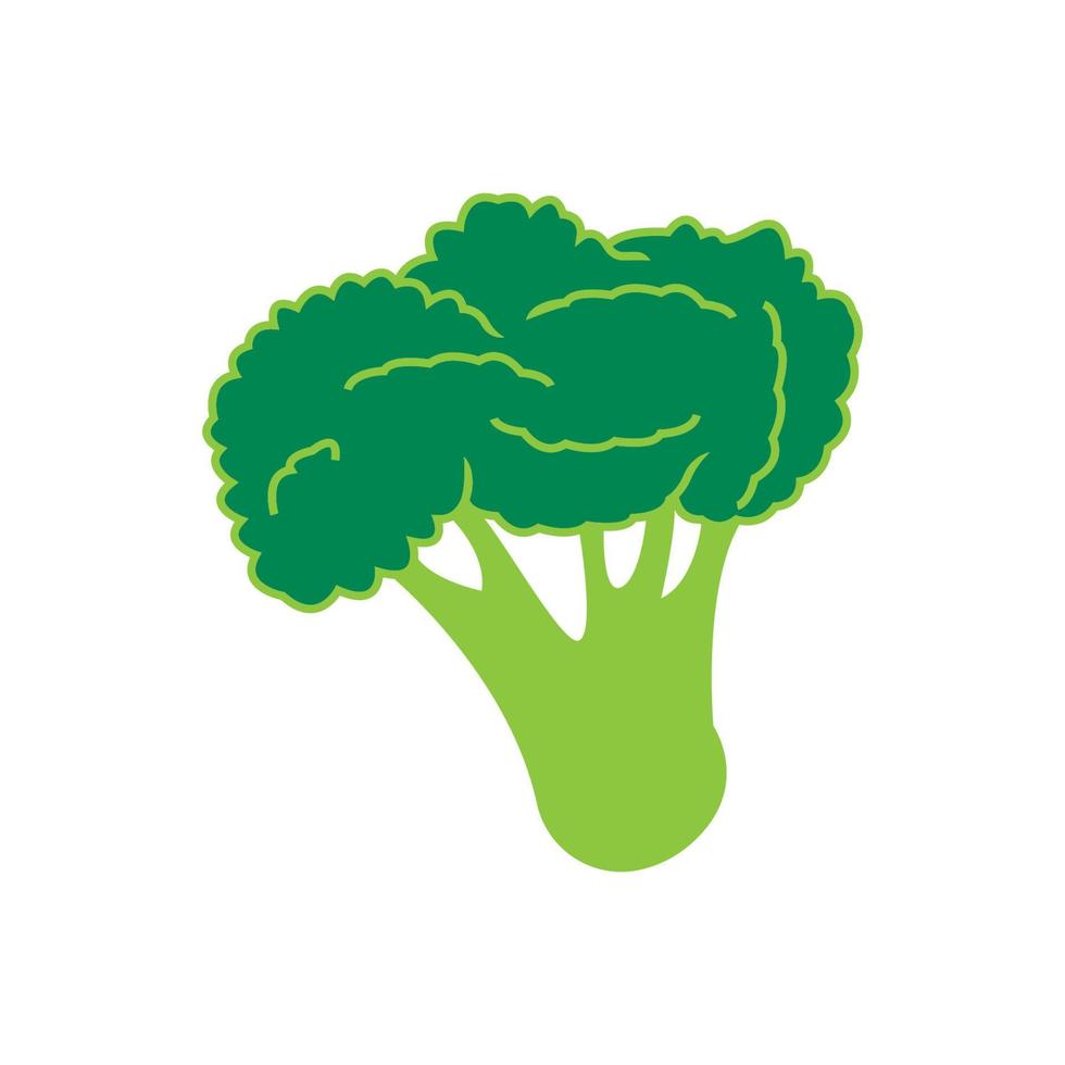 logotipo vegetal de brócoli, diseño de ilustración vectorial de iconos vector