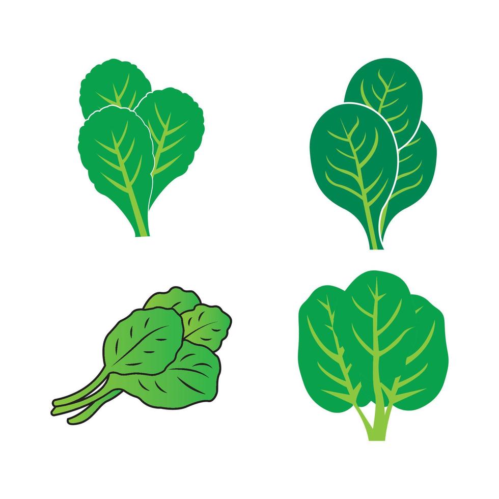 logotipo de verduras de espinacas frescas, diseño de ilustración vectorial de iconos vector