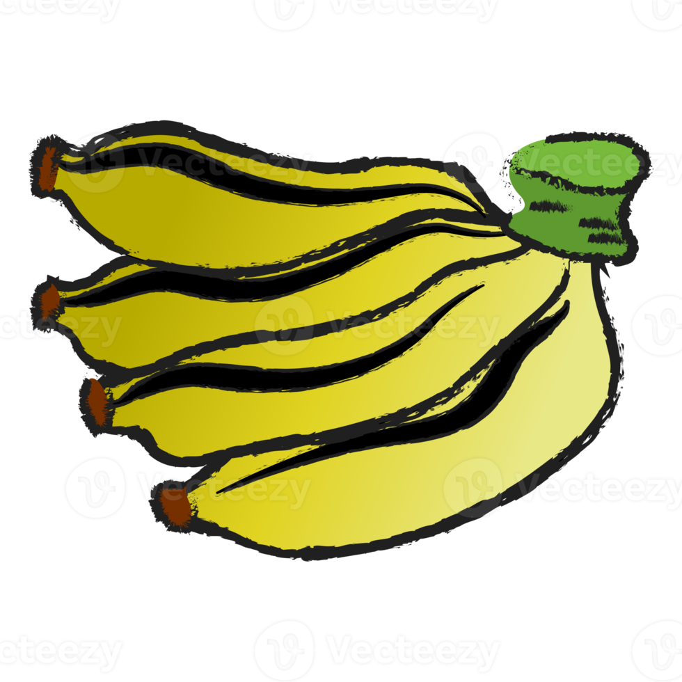 mão de bananas isoladas em fundo transparente, arte de linha de frutas isolada png