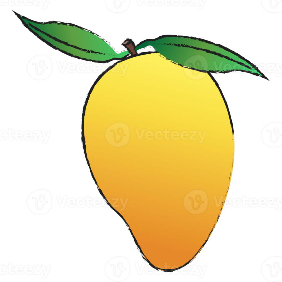 Mango isolated on transparent background , fruit line art isolated