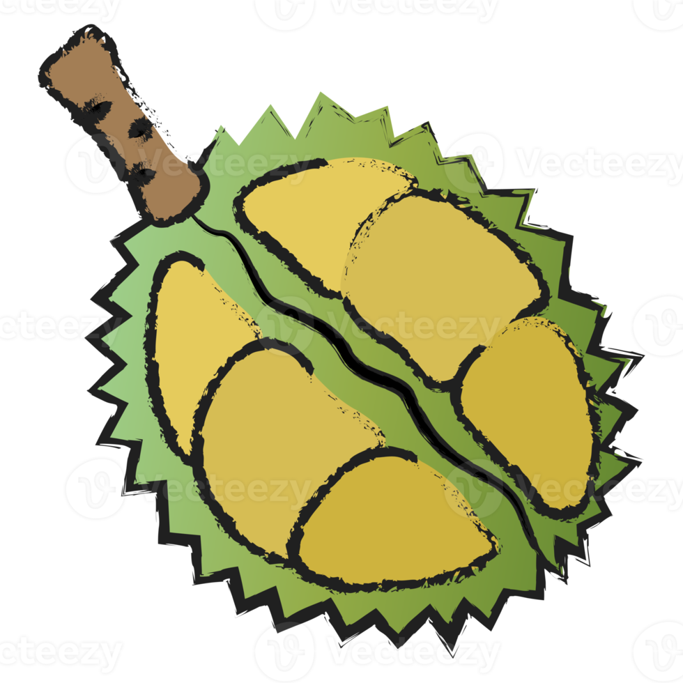 meia fatia de durian isolada em fundo transparente, arte de linha de frutas isolada png