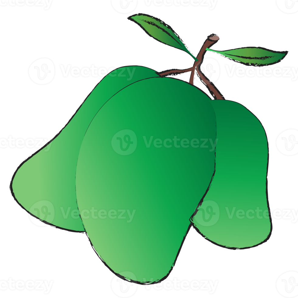 Bunch of mangoes isolated on transparent background , fruit line art