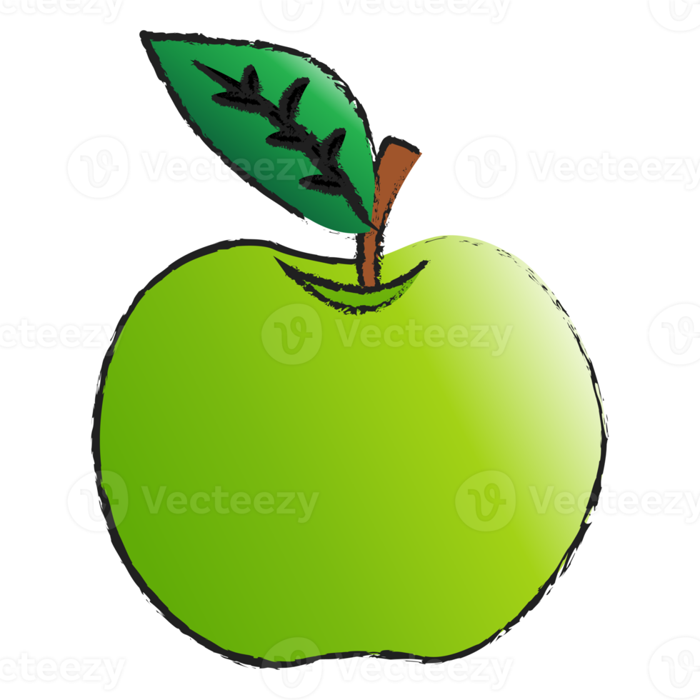 pomme verte isolée sur fond transparent, dessin au trait de fruits isolé png