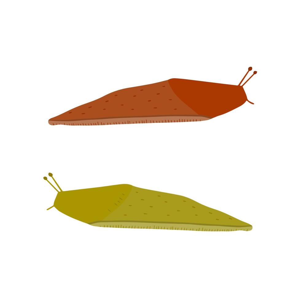 Green and brown slug. Set of slippery insects. Flat cartoon illustration isolated on white background vector
