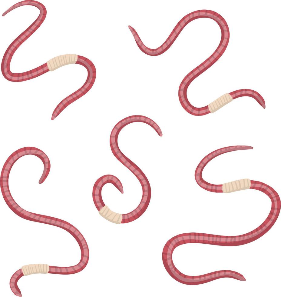Earthworm. Pink worm and Underground insect. Fishing bait. Flat cartoon illustration vector