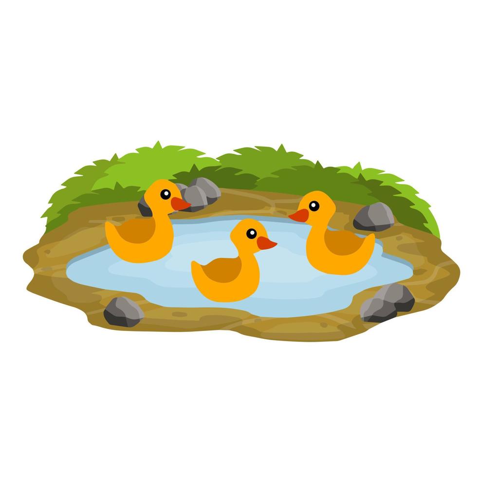 Ducks in pond. Chicken swims in lake. Animal in wild and forest. Child of bird in water. Flat cartoon. vector