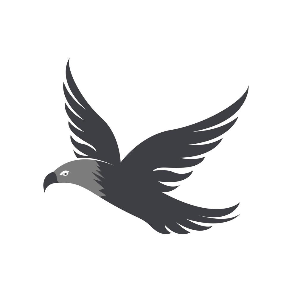 Falcon logo template vector