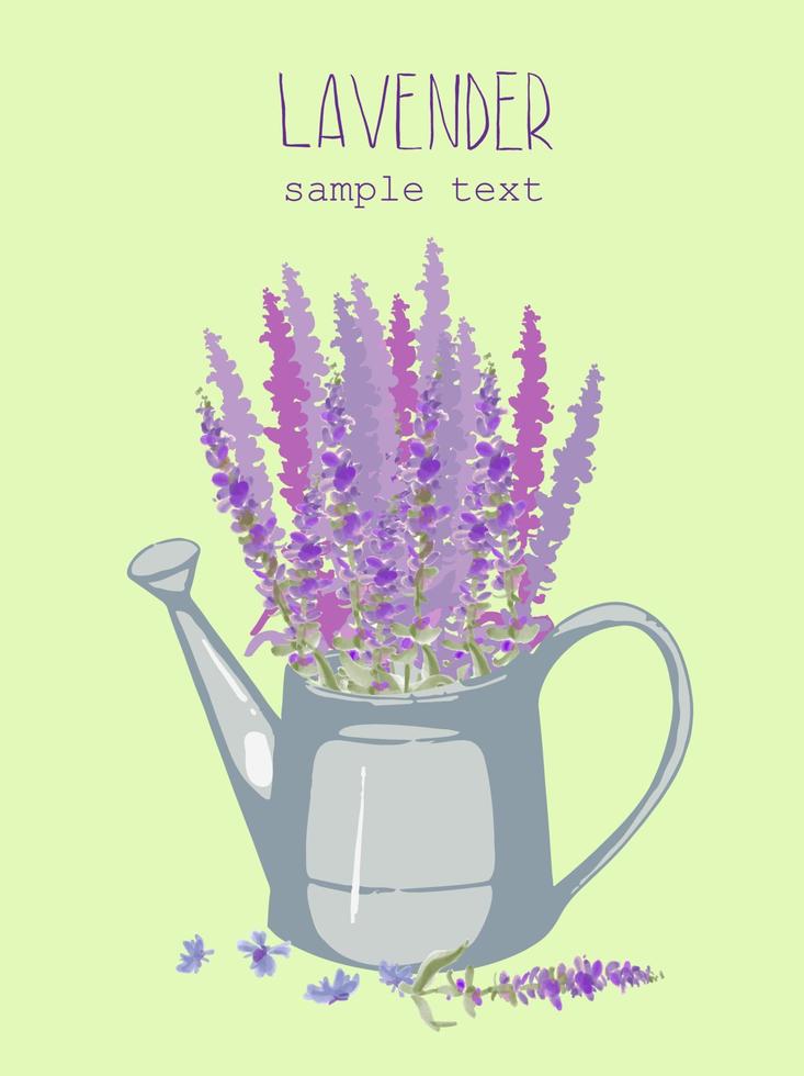 Lavender in a watering can on a light green background. For prints, covers, wallpapers, minimalism and natural wall art. vector